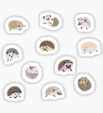 Hedgehog Sticker Pack Sticker