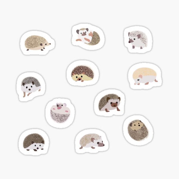 Hedgehog Gifts & Merchandise Redbubble