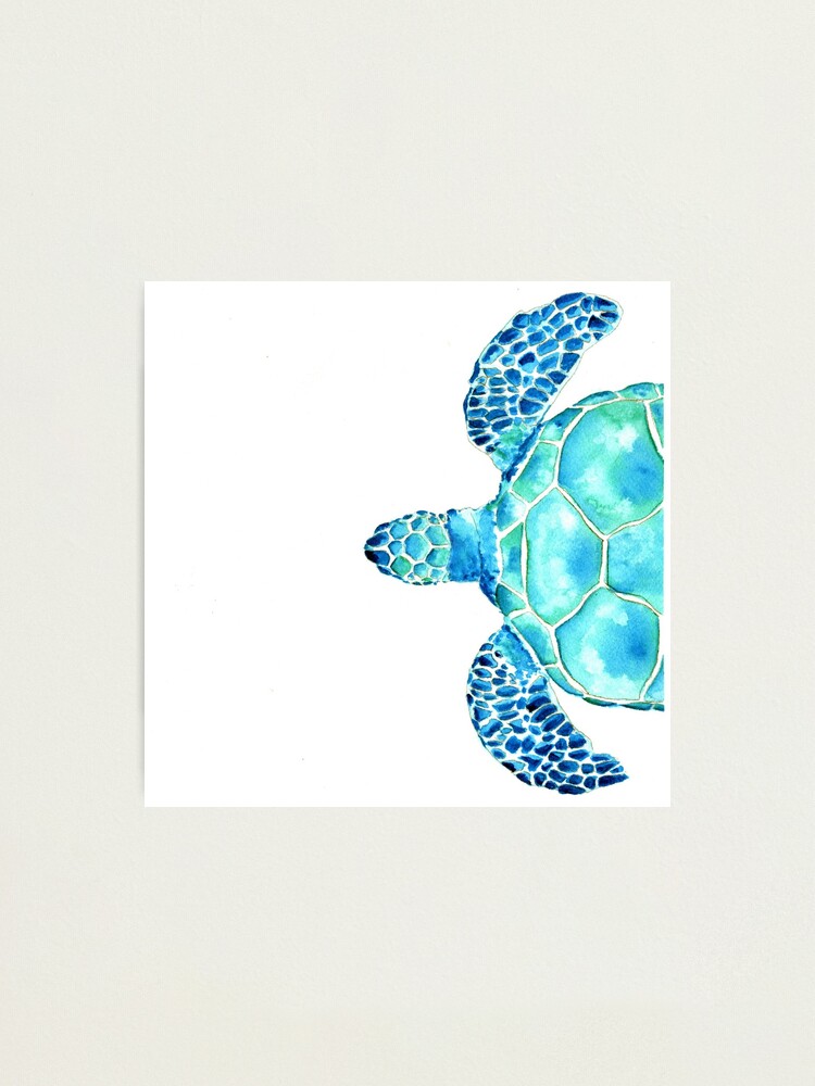 Coussin for Sale avec l'œuvre « Aquarelle Tortue de mer