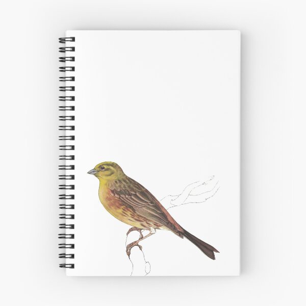 Item preview, Bird Art - yellowhammer - Vintage bird print designed and sold by Studio66Designs.