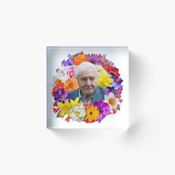 Item preview, David Attenborough designed and sold by EdgarCurious.