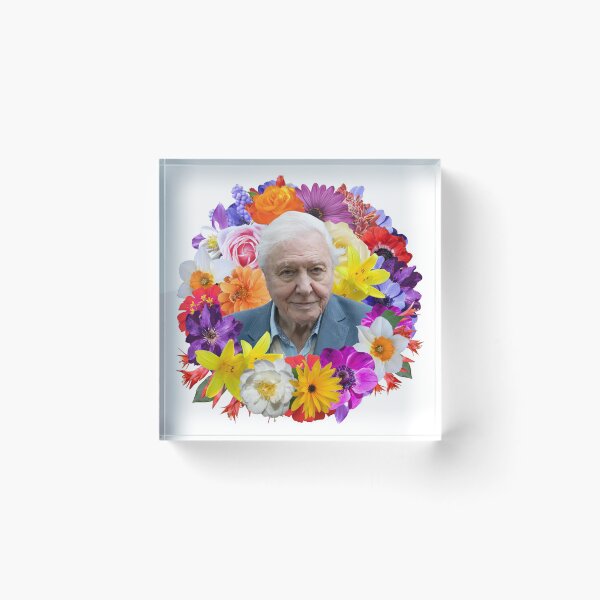 Item preview, David Attenborough designed and sold by EdgarCurious.
