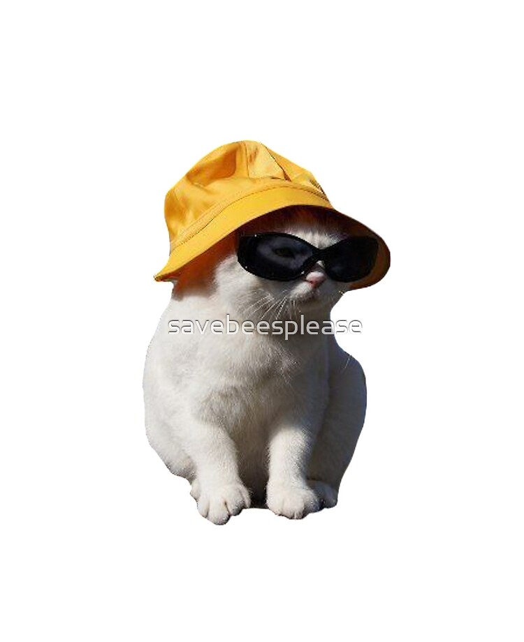 bucket hat cat