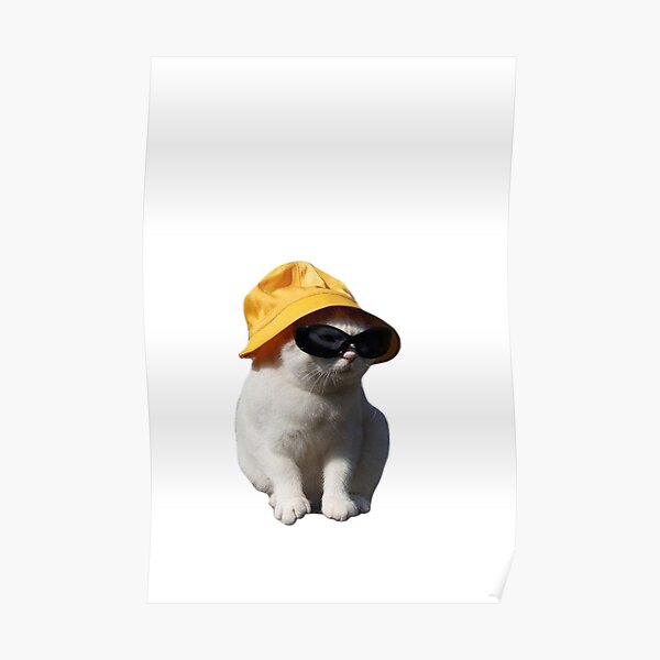 bucket hat cat Poster