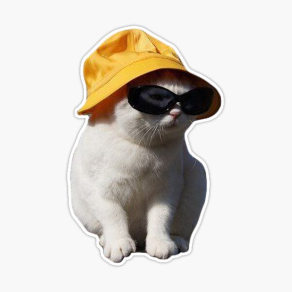 Cute cat with a Cap - Cool Cat - Sticker