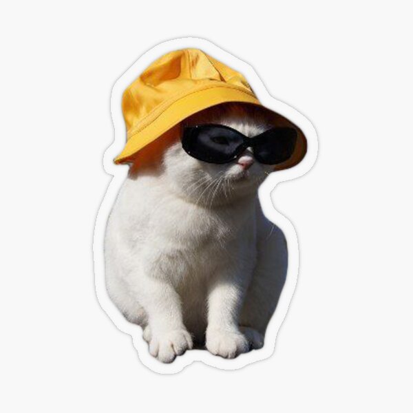 Bongo Cat Bucket Hat Meme Cat Bucket Hat Meme Bucket Hat Cat Bucket Hat  Kawaii Bucket Hat Cute Cat Bucket Hat Kawaii Cat Hat -  Canada