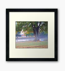 THE POND IN FOG Framed Print