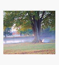 THE POND IN FOG Photographic Print