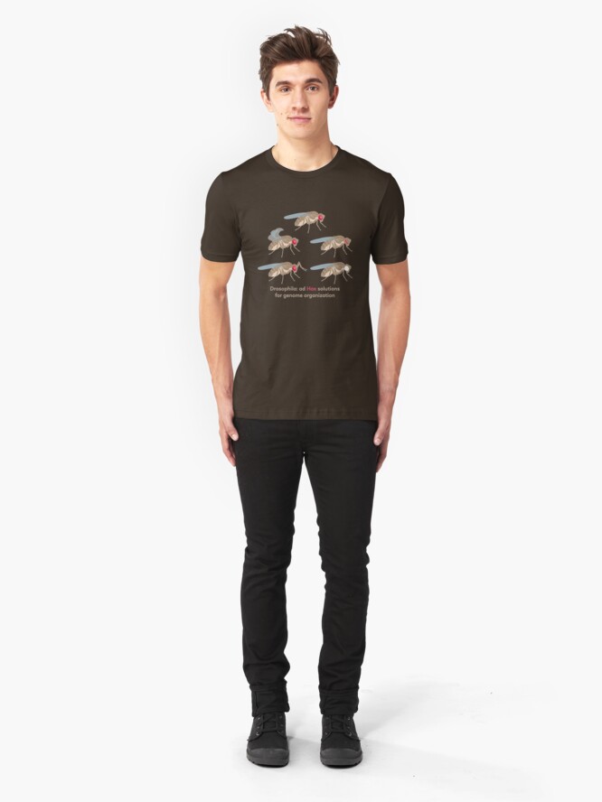 Alternate view of Drosophila Mutations: Ad Hox Solutions for Genome Organization Slim Fit T-Shirt