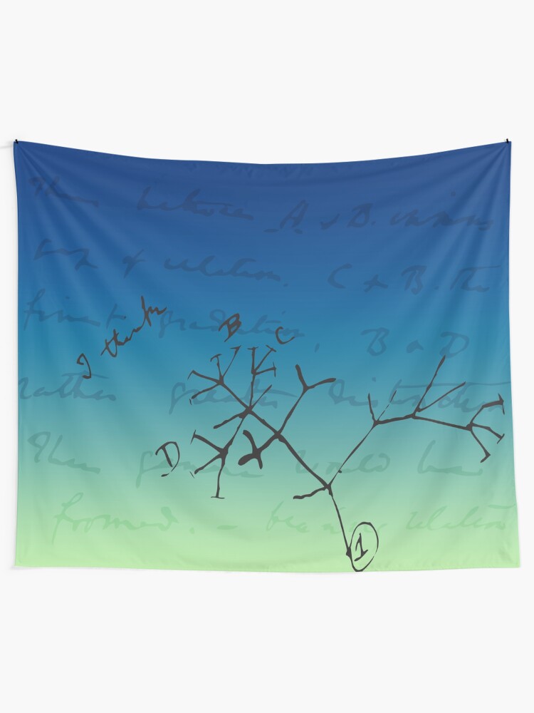 Alternate view of Darwin Thinks Tapestry