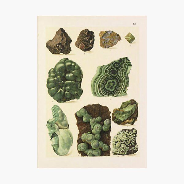Photographic Print