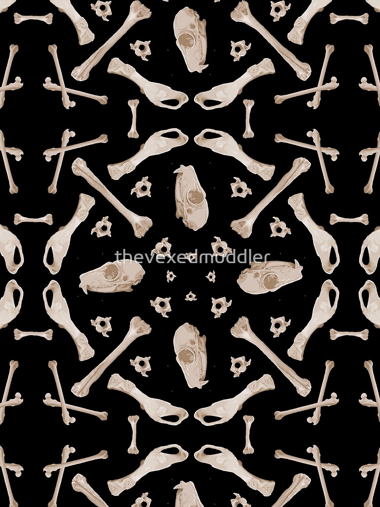 Ruffed Lemur bones by thevexedmuddler