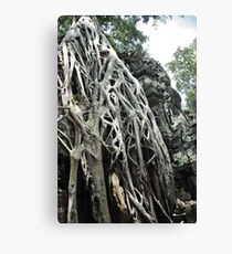 Time and nature win out Canvas Print
