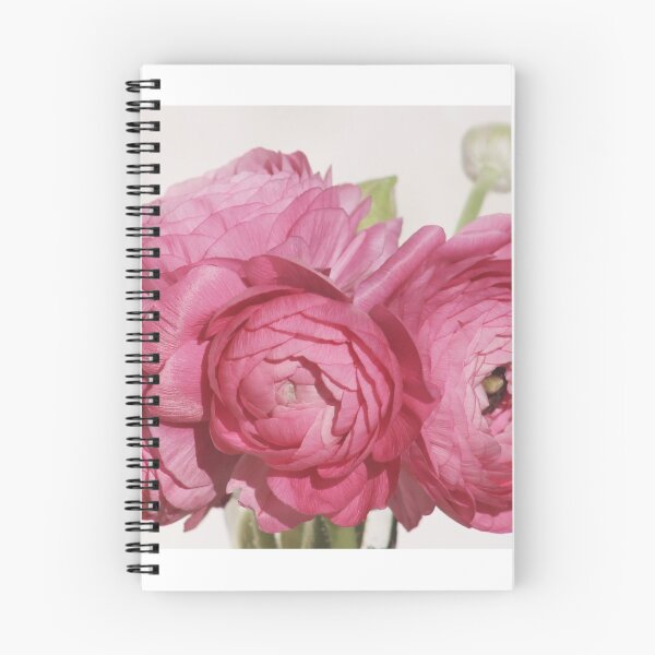 Item preview, Pink Ranunculus designed and sold by ana dawani.