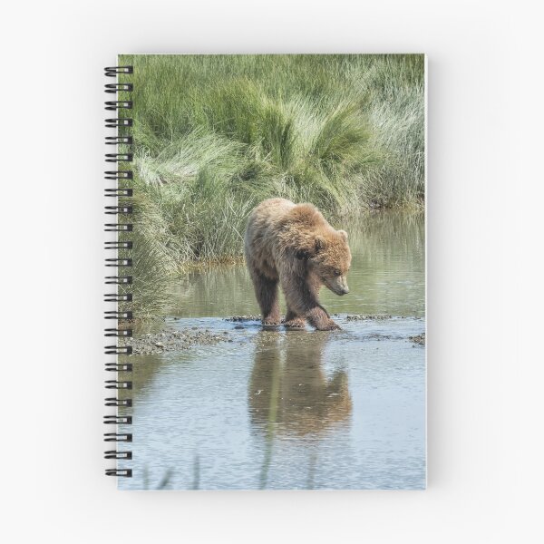 Item preview, Brown Bear Cub Crossing a Stream designed and sold by Belinda Greb Photography.
