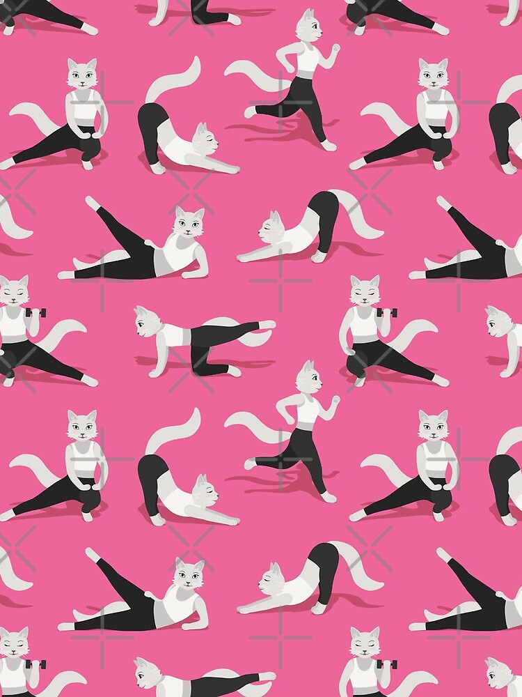 Fitness Cats on pink by nadyanadya