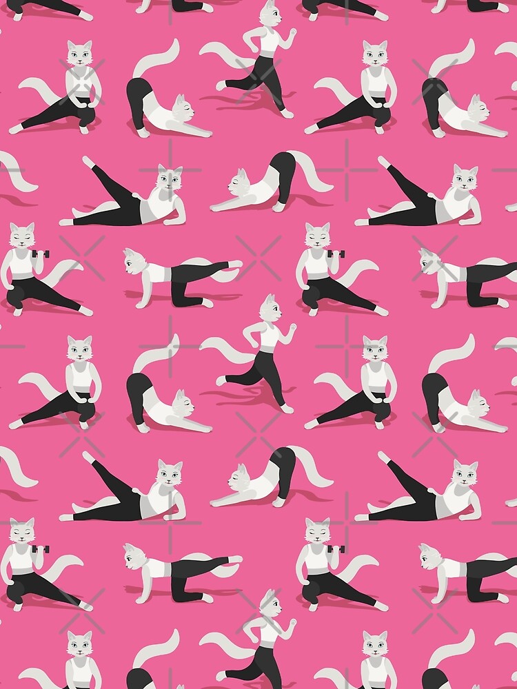 Fitness Cats on pink by nadyanadya
