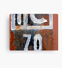 IC70 Metal Print