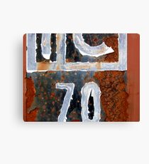 IC70 Canvas Print