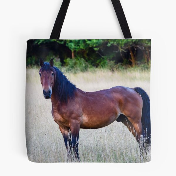 Aperçu de l'œuvre Beautiful Brown Horse créée et vendue par InterestingImag.