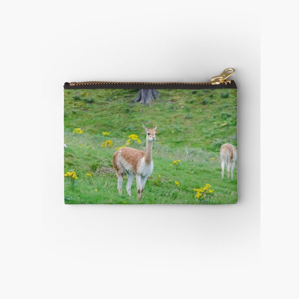 Item preview, A Vicuna stands to attention in a pasture designed and sold by Logopad.
