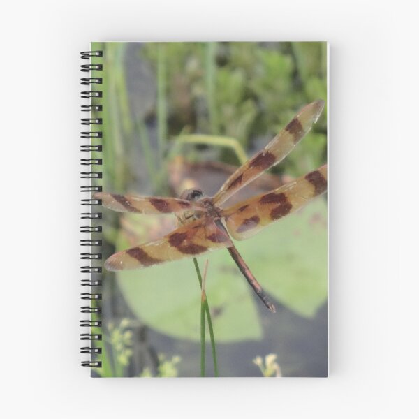 Item preview, Dragonfly by Orikall designed and sold by HippieWorks.