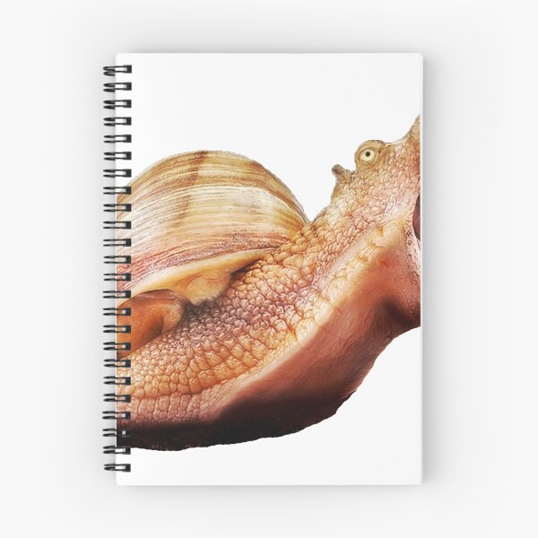 Item preview, Rhino Snail designed and sold by IllTrill.