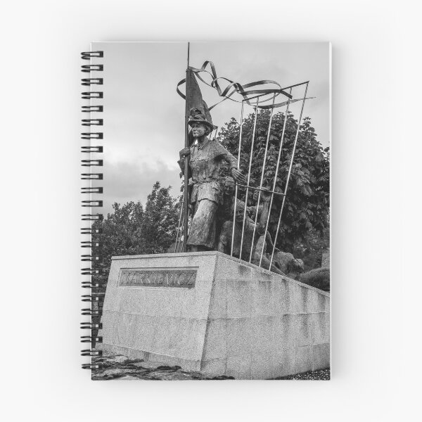 Item preview, Countess Markievicz Statute ,Sligo, Ireland. designed and sold by Martina Fagan.