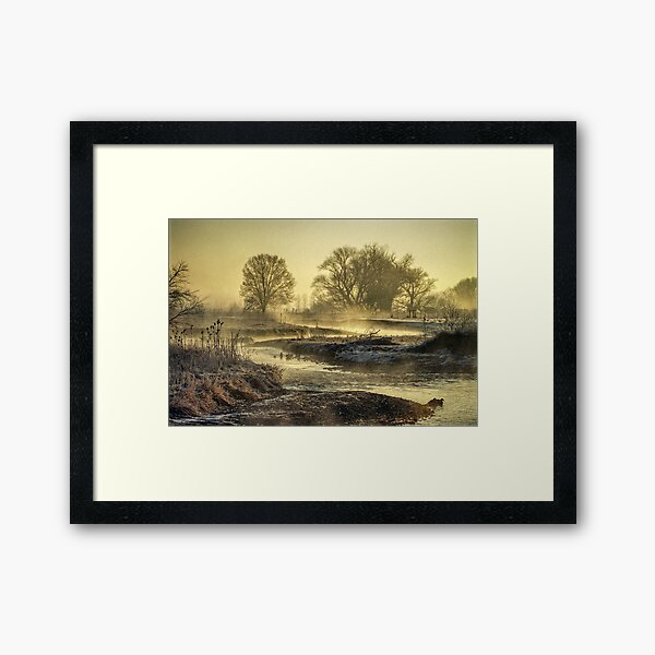Into The Mystery Framed Art Print