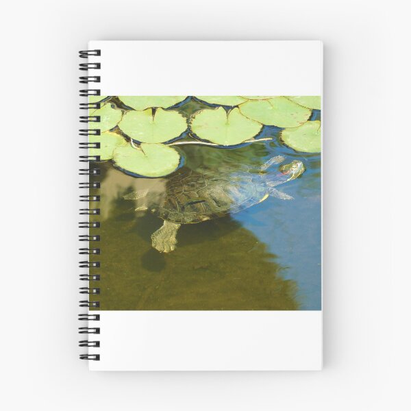 Item preview, Underwater exercise designed and sold by MChabalaRussell.