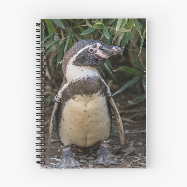 Item preview, Humboldt penguin in profile designed and sold by brambillasimone.