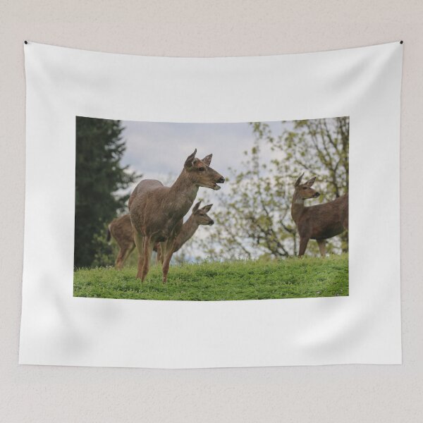 Item preview, Did you hear something? designed and sold by peripheree.