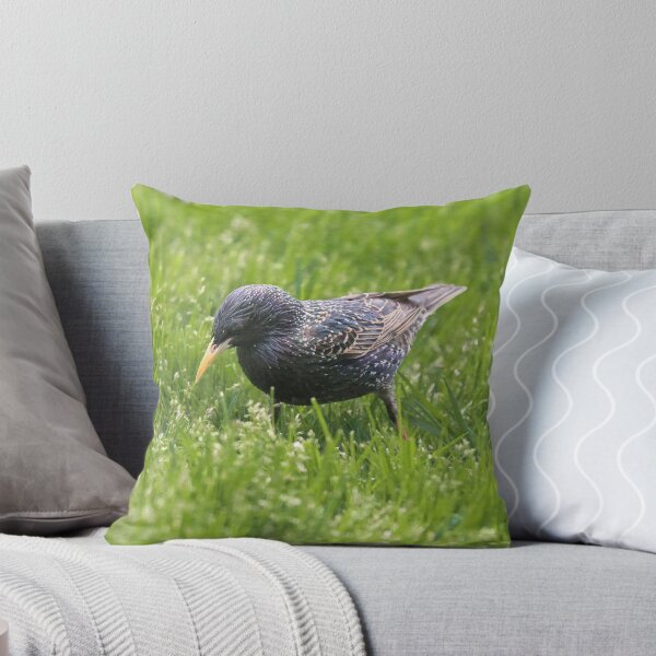 Item preview, Darling Starling designed and sold by peripheree.