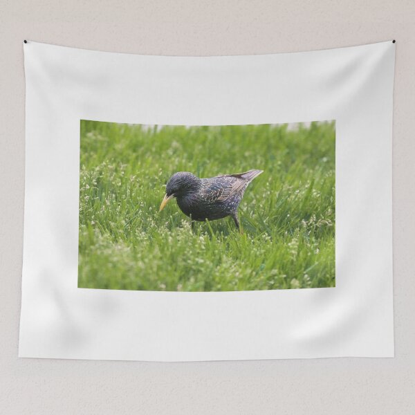 Item preview, Darling Starling designed and sold by peripheree.