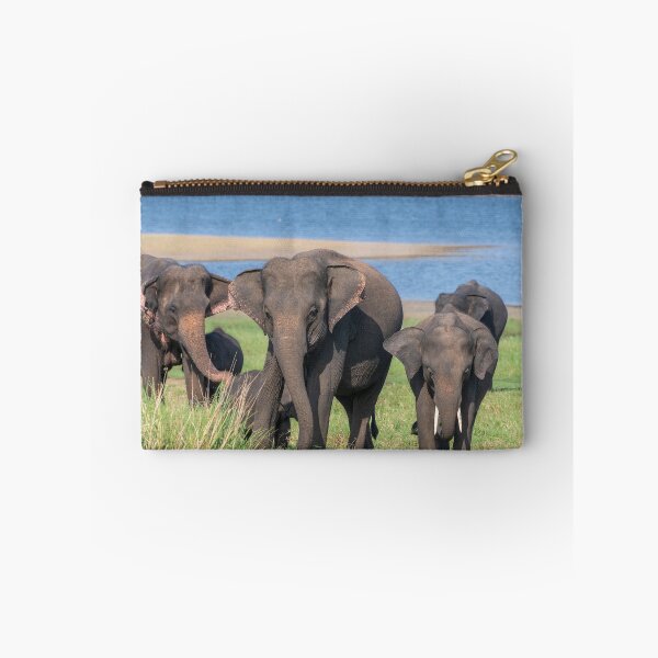 Item preview, SriLankan Elephant Safari designed and sold by JohnKarmouche.