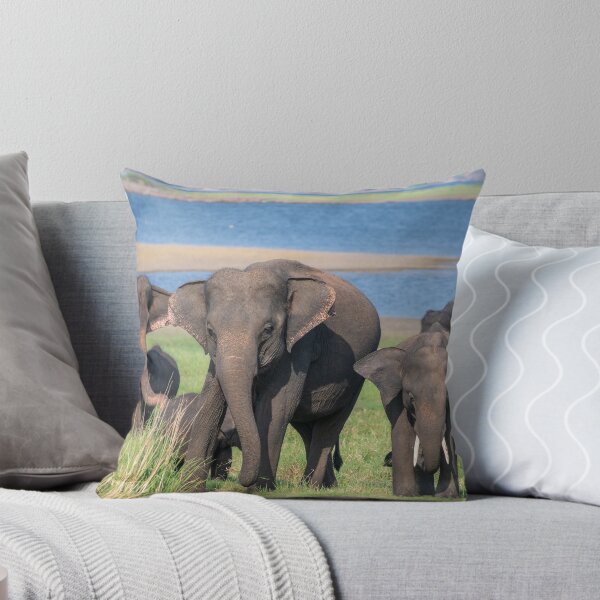 Item preview, SriLankan Elephant Safari designed and sold by JohnKarmouche.