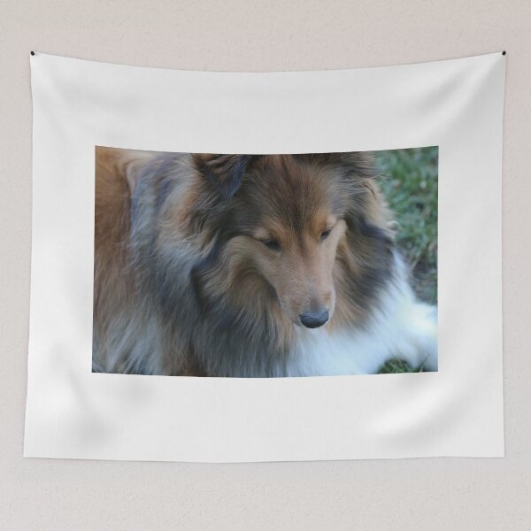 Item preview, Sable Sheltie designed and sold by peripheree.