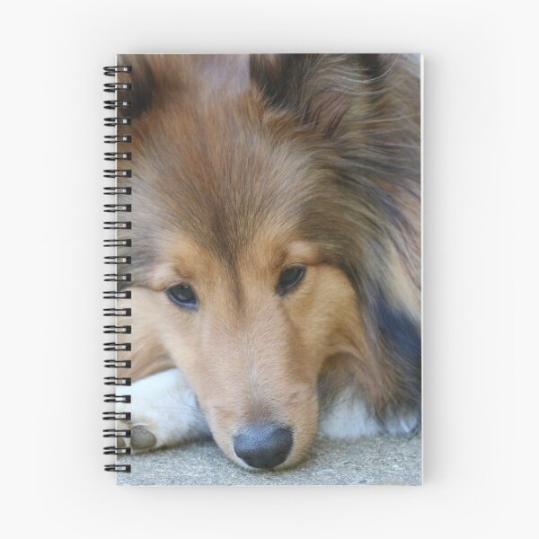 Item preview, Sable Shetland Sheepdog designed and sold by peripheree.