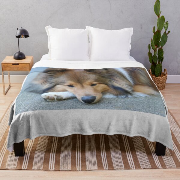 Item preview, Sable Shetland Sheepdog designed and sold by peripheree.