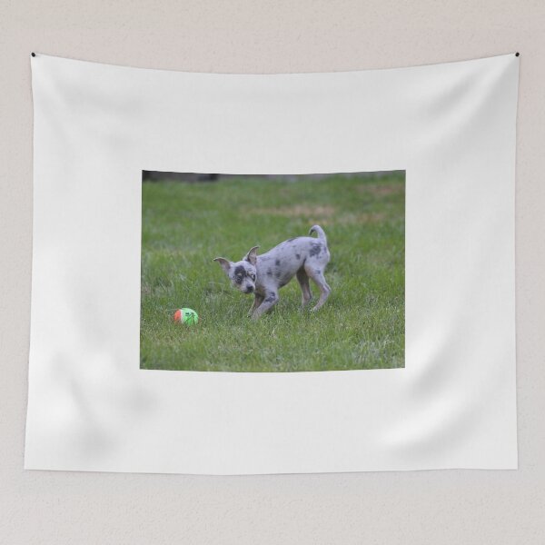 Item preview, Merle chihuahua puppy designed and sold by peripheree.