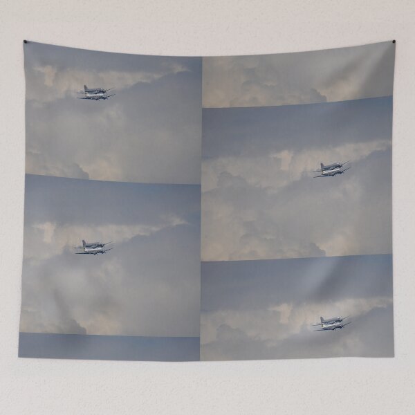 Item preview, 2019 Catalina Festival DC3 Formation designed and sold by muz2142.