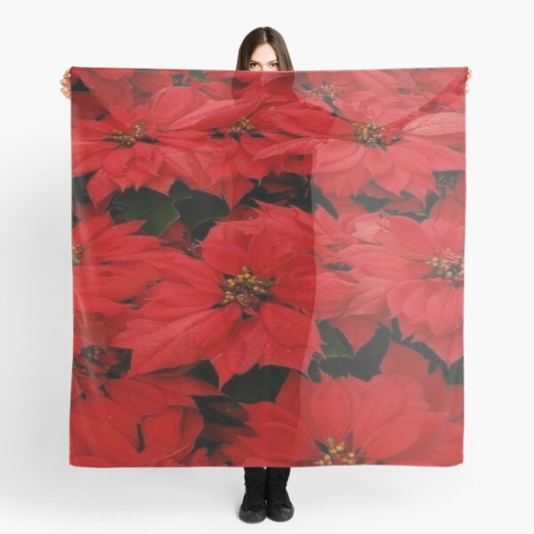 poinsettia scarf