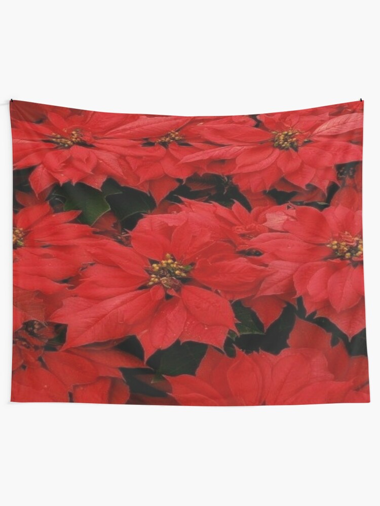 Tela decorativa «Flor de nochebuena» de Dobiemom3535 | Redbubble