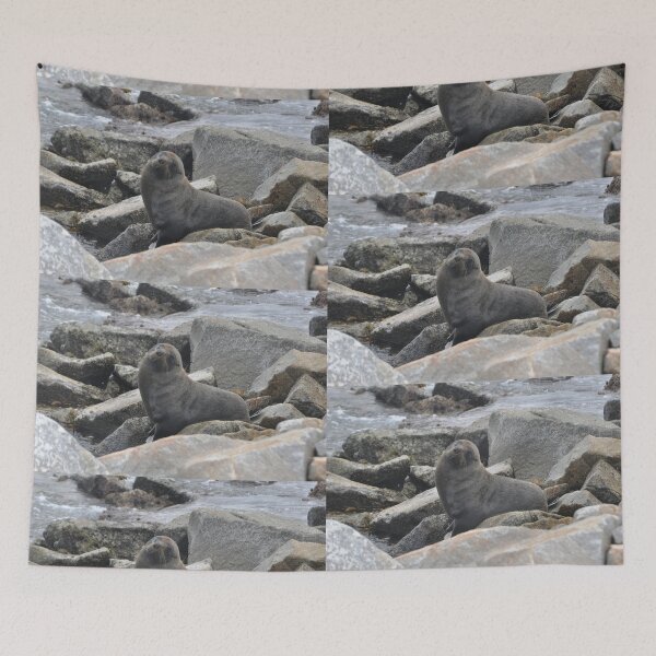Item preview, Seal,Narooma,Australia 2017 designed and sold by muz2142.