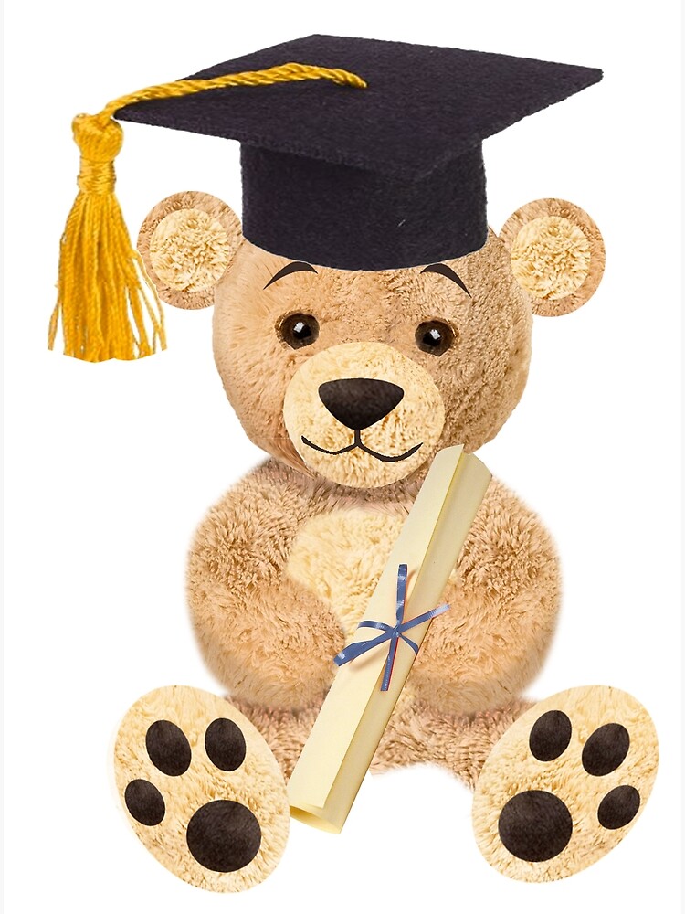 cheap graduation bears