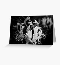 Honeysuckles Ripened and Sweet Greeting Card
