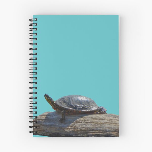 Item preview, Turtle on a Log designed and sold by BirdyBirdy8.
