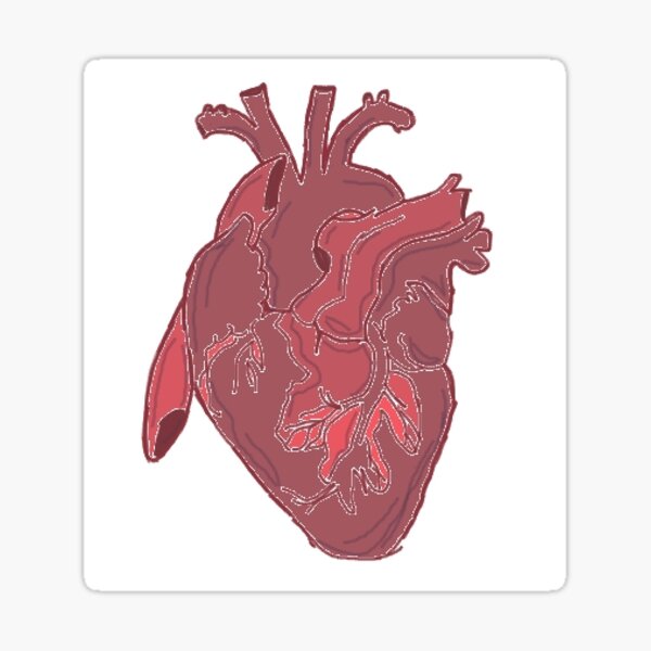 Item preview, corazon anatomico designed and sold by jaylerrb13.