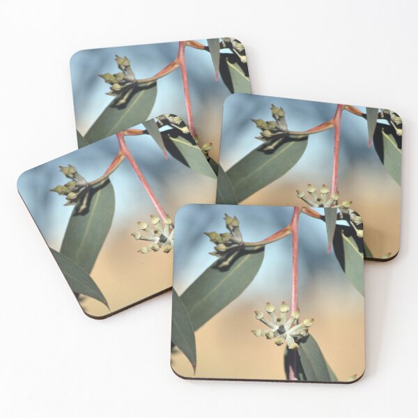 Item preview, Eucalyptus Buds designed and sold by Cloudlingpics.