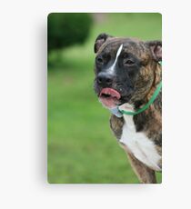 Yum did somebody say lunch! Canvas Print